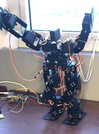 The robot captured mid-stride, demonstrating the synchronized servo actuation required for a stable dynamic walking gait.